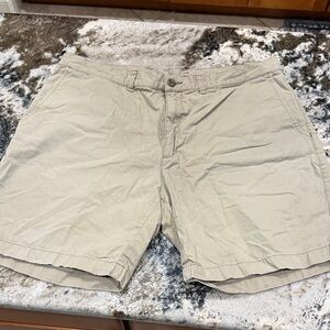 Patagonia Men's Beige Flat Front Shorts